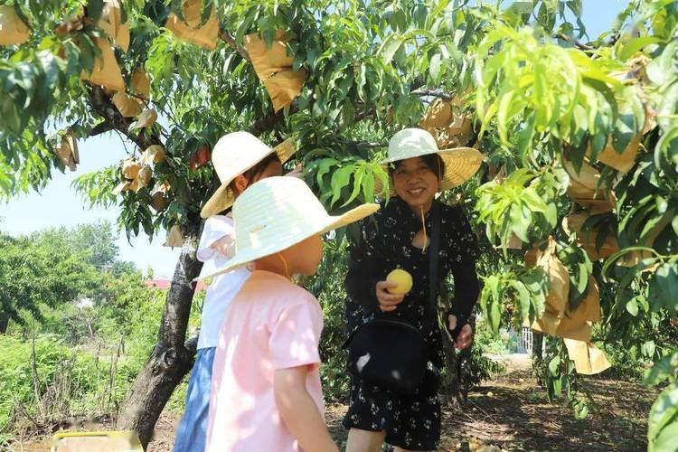 北冈果林 北冈果林